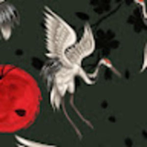 Meet your Posher, Emmet